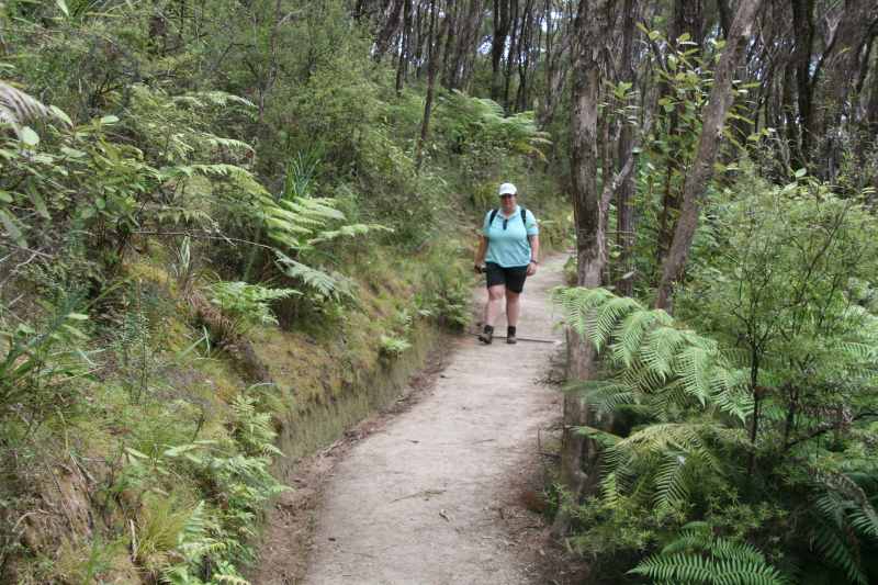 Nieuw-Zeeland 2011 - 1011